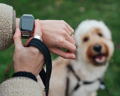 The Reality Regarding Smartwatches? Life Feels Fuller Devoid of a Hectoring Zealot on Your Wrist